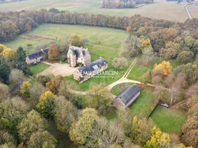Vente Château 12 pièces 750 m2 Laval