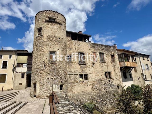 Vente Propriété 13 pièces 408 m2 Courpière