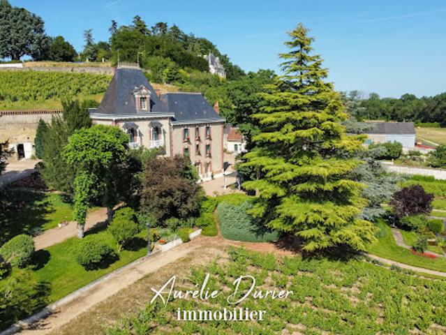 Vente Propriété 13 pièces 500 m2 Vernou sur Brenne
