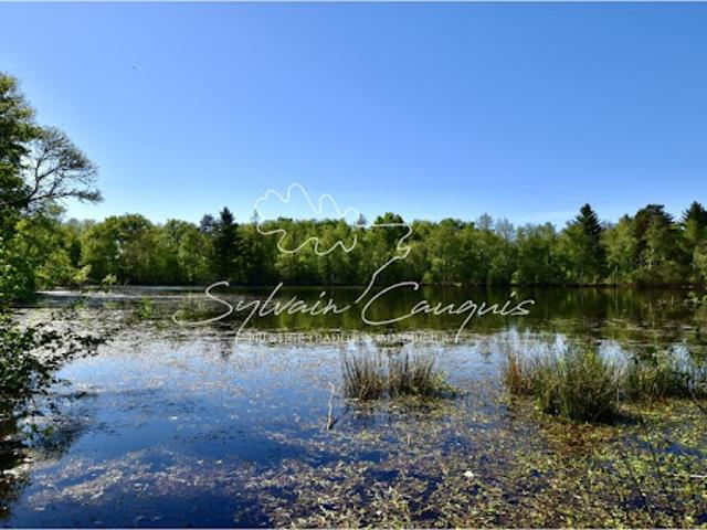 Vente Propriété 14 pièces 450 m2 Brinon sur Sauldre