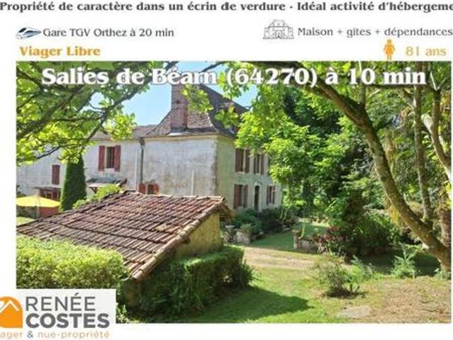 Vente Propriété 14 pièces 495 m2 Salies de bearn