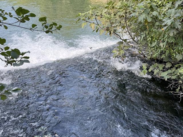 Vente Propriété 15 pièces 1300 m2 L'Isle sur la Sorgue