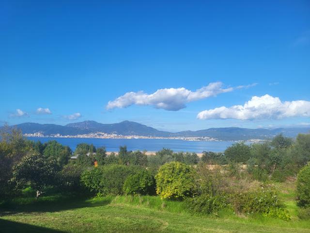 Vente Propriété 15 pièces 519 m2 Porticcio
