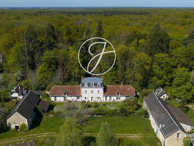 Vente Propriété 16 pièces 263.5 m2 Loches