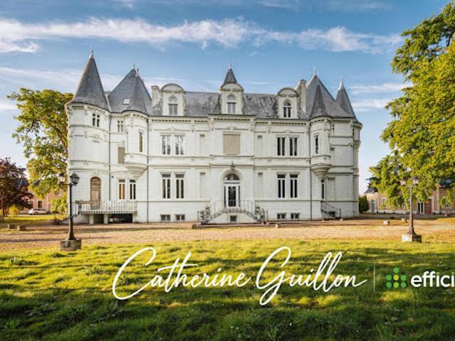 Vente Propriété 18 pièces 560 m2 Ingrandes