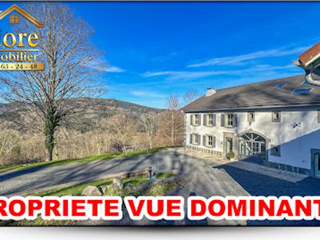 Vente Propriété 20 pièces 388 m2 Gerardmer