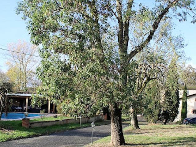 Vente Propriété 20 pièces 450 m2 Beaumont de Lomagne