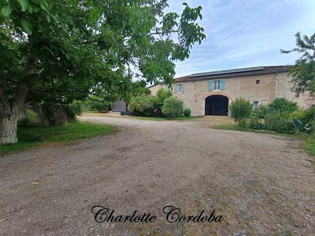 Vente Propriété 20 pièces 404 m2 Feugarolles