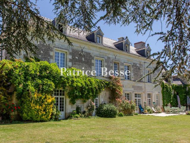Vente Propriété 20 pièces 770 m2 Chinon