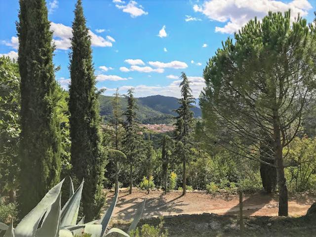 Vente Propriété 28 pièces 755 m2 Montpellier