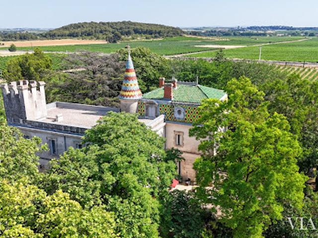 Vente Propriété 28 pièces 781 m2 Puisserguier