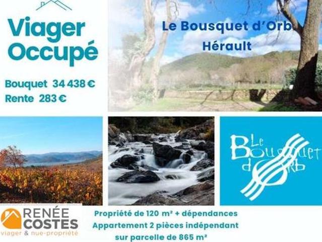 Vente Propriété 7 pièces 120 m2 Le Bousquet d'Orb