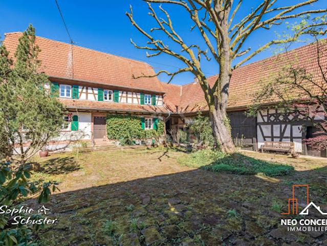Vente Propriété 7 pièces 163.99 m2 Mulhausen