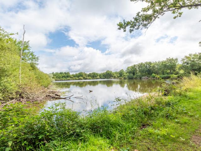 Vente Propriété 7 pièces 179 m2 Lorris