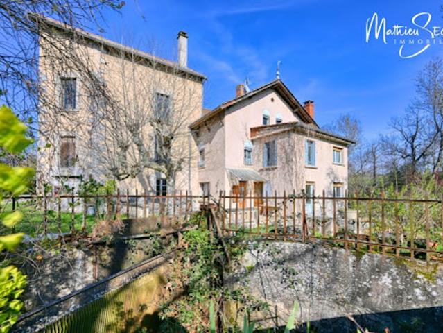 Vente Propriété 7 pièces 292 m2 Messimy