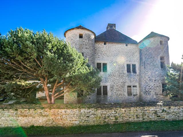Vente Château 7 pièces 300 m2 Besançon