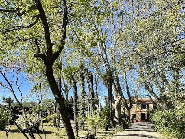 Vente Propriété 7 pièces 320 m2 Toulouges