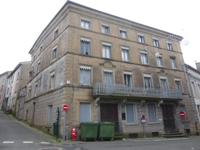 Vente Propriété 40 pièces 1200 m2 Panissières