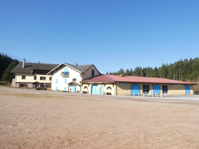 Vente Propriété 40 pièces 3000 m2 Girmont Val d'Ajol