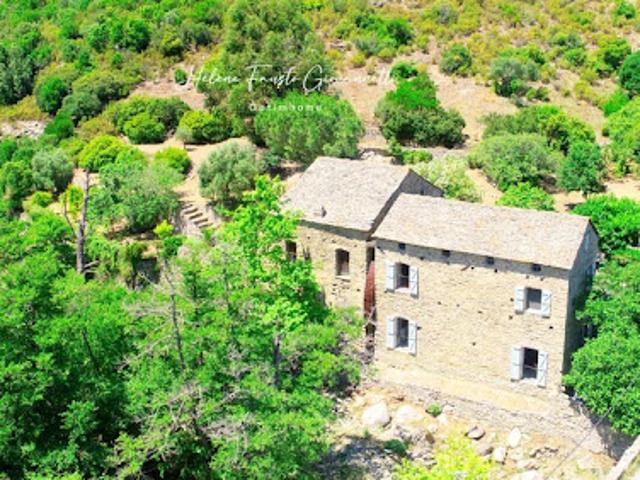 Vente Propriété 5 pièces 142 m2 Santo Pietro di Tenda
