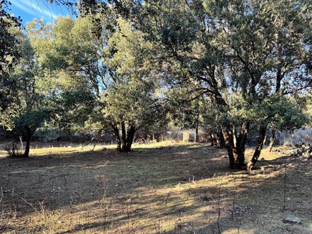 Vente Propriété 4 pièces 201 m2 Algajola