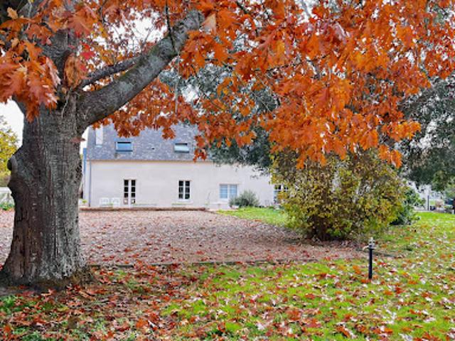 Vente Propriété 4 pièces 260 m2 Diou