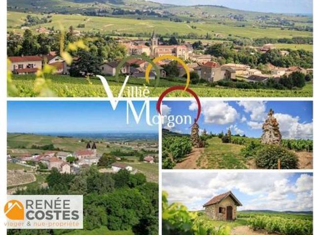 Vente Propriété 5 pièces 150 m2 Villié Morgon