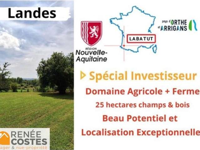 Vente Propriété 5 pièces 400 m2 Peyrehorade