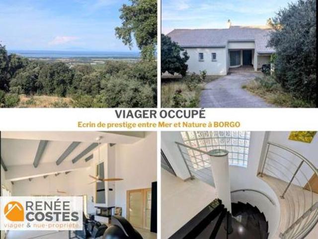 Vente Propriété 5 pièces 273 m2 Borgo