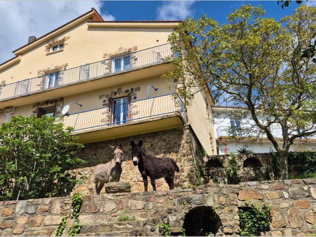 Vente propriété 6 Pièce s 390m² Maureillas las Illas
