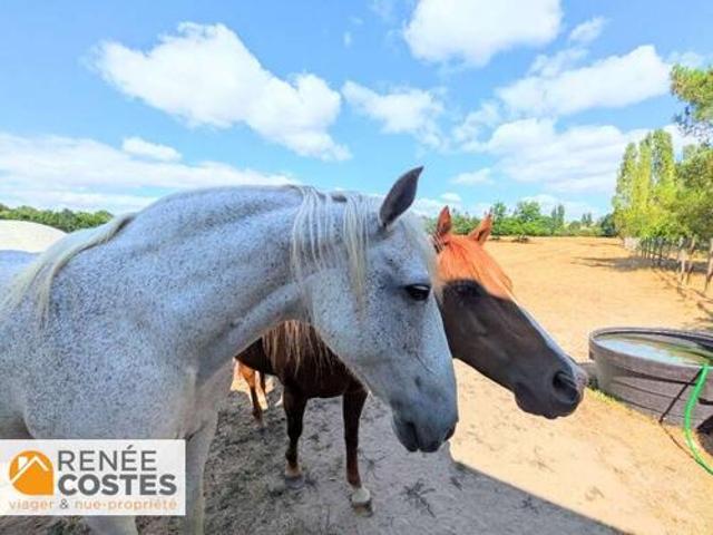 Vente Propriété 6 pièces 217 m2 Chahaignes