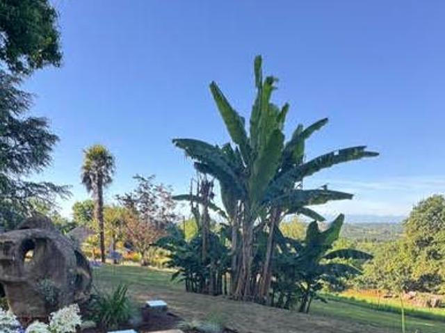 Vente Propriété 6 pièces 260 m2 Serres Castet