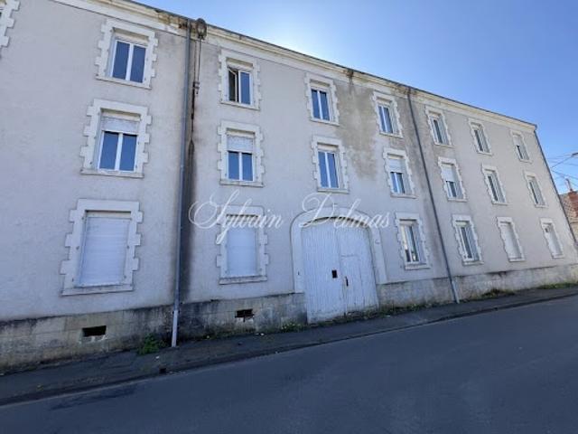 Vente Propriété 80 pièces 1800 m2 Vierzon