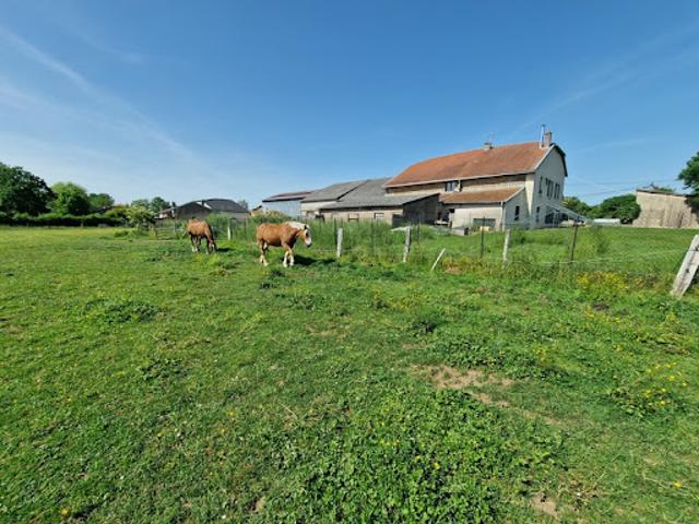 Vente Propriété 8 pièces 228 m2 Laloeuf