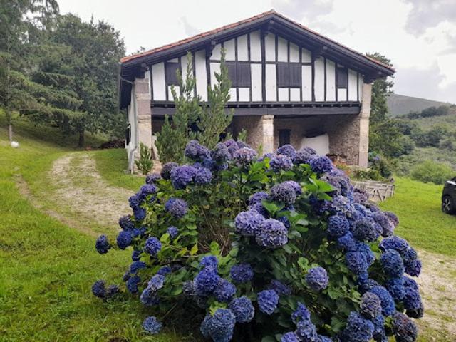 Vente Propriété 8 pièces 220 m2 Sare