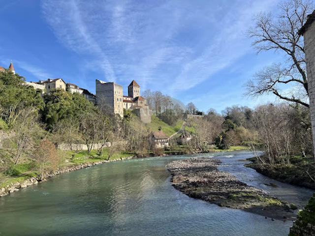 Vente Propriété 8 pièces 230 m2 Sauveterre de Béarn