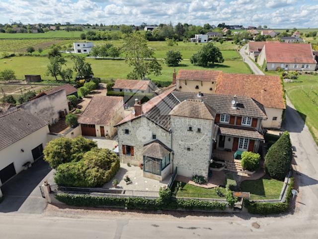 Vente Propriété 8 pièces 298 m2 Saulcet