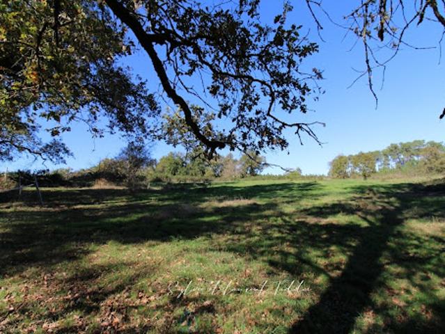 Vente Propriété 8 pièces 300 m2 Montguyon