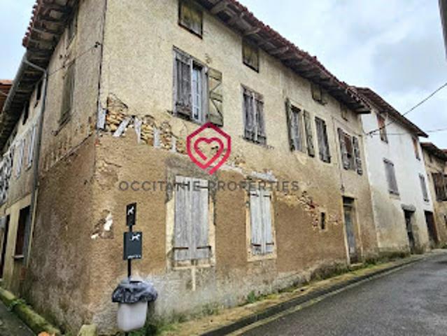 Vente Propriété 8 pièces 350 m2 Le Mas d'Azil