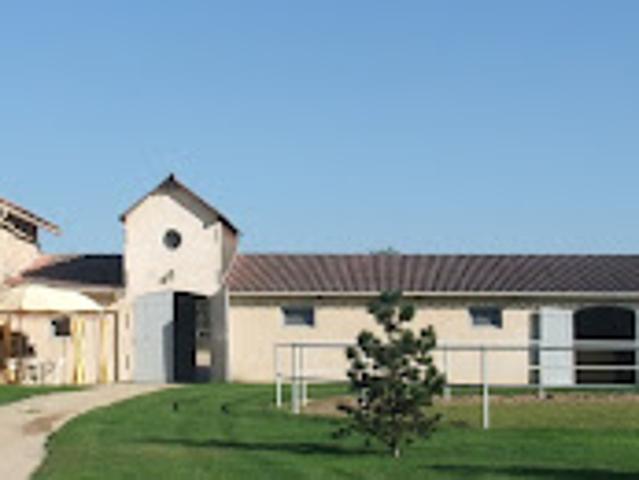 Vente Propriété 8 pièces 360 m2 Fontenay lès Briis