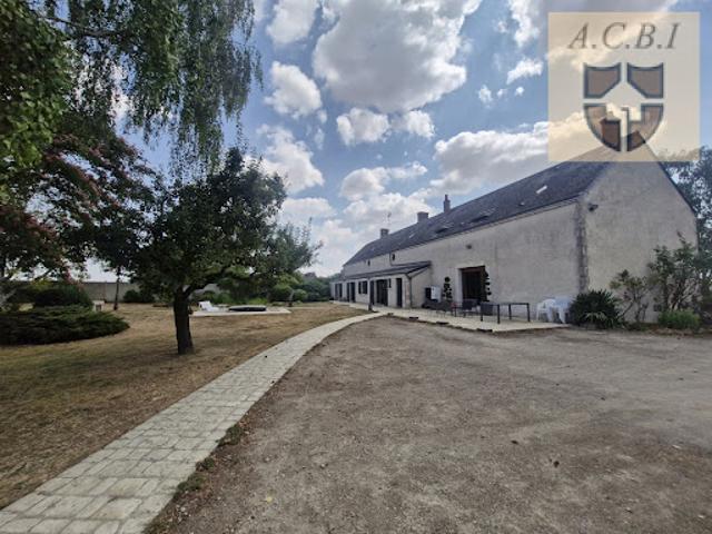 Vente Propriété 8 pièces 370 m2 Josnes