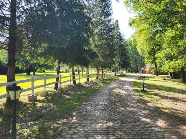 Vente Propriété 9 pièces 250 m2 Bouzy la Forêt