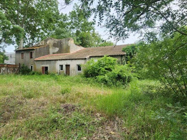 Vente Propriété 9 pièces 278 m2 Saint jean de vedas