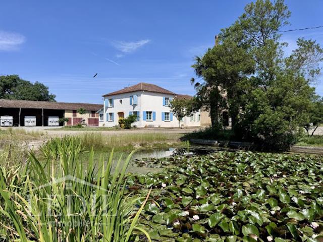 Vente Propriété 9 pièces 310 m2 Vic Fezensac
