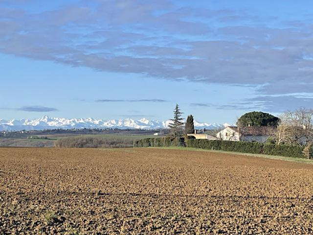 Vente Propriété 9 pièces 340 m2 Vieillevigne