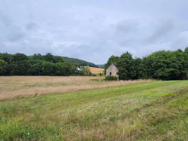 Vente Surface diverse 14 415 m²