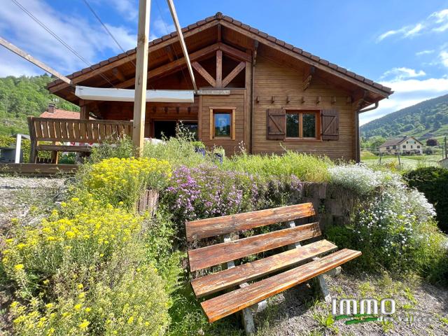 Ventron Vente Maison 88