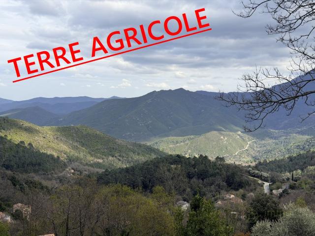 Venaco Vente Terrain 20