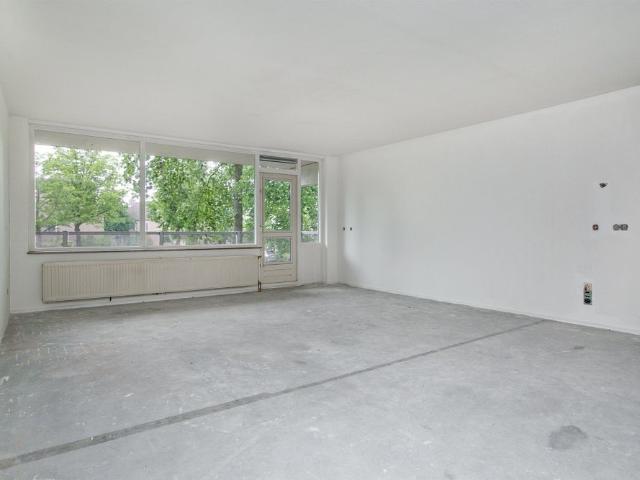 Venbergsemolen, 41, Eindhoven