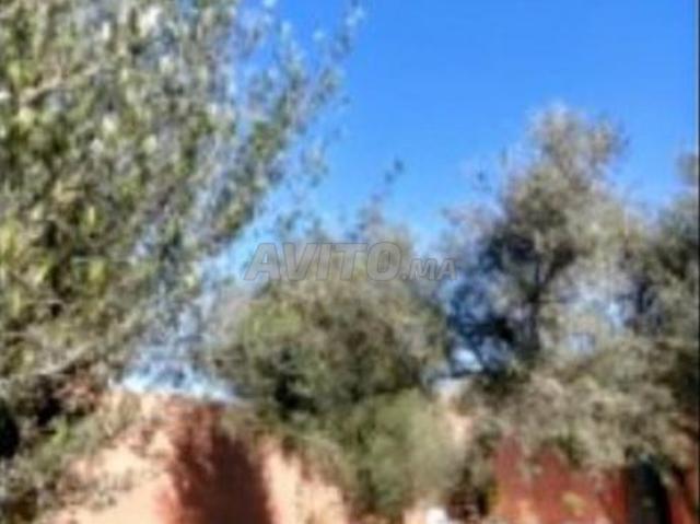 Vend joli villa riad sur route de Ouarzazate